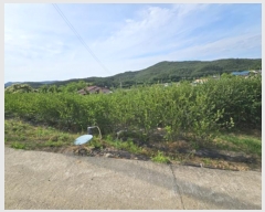  2024Ÿ��301 �뱸 ������ �Һ��� ���Ǹ� 1209      ����(��1)���