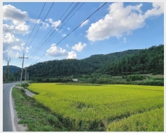  2024Ÿ561  Ǽ  ڰ 10      (Ӿ)