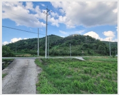  2024Ÿ561  Ǽ  ڰ 10      (Ӿ)