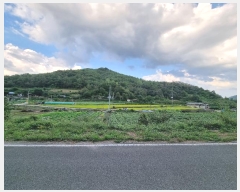  2024Ÿ561  Ǽ  ڰ 10      (Ӿ)