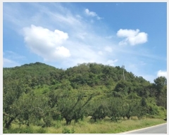  2024Ÿ561  Ǽ  ڰ 10      (Ӿ)