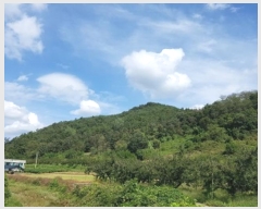  2024Ÿ561  Ǽ  ڰ 10      (Ӿ)