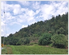  2024Ÿ561  Ǽ  ڰ 10      (Ӿ)