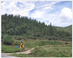  2024Ÿ561  Ǽ  ڰ 10      (Ӿ)