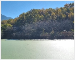  2024Ÿ622  Ǽ ݼ  599      ()