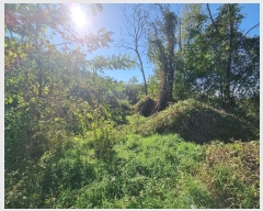  2024Ÿ622  Ǽ ݼ  599      ()