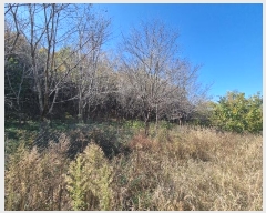  2024Ÿ622  Ǽ ݼ  599      ()