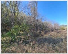  2024Ÿ622  Ǽ ݼ  599      ()