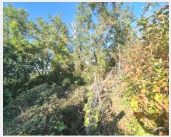  2024Ÿ622  Ǽ ݼ  599      ()