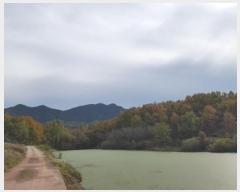  2024Ÿ622  Ǽ ݼ  599      ()