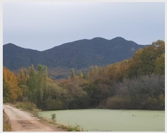  2024Ÿ622  Ǽ ݼ  599      ()