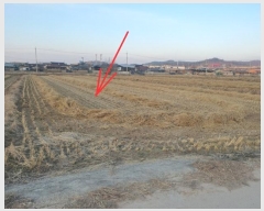  2024Ÿ646  Ǽ ݼ 븮 753-1      ()