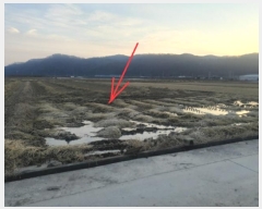  2024Ÿ646  Ǽ ݼ 븮 753-1      ()