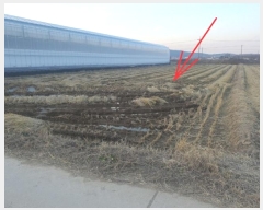  2024Ÿ646  Ǽ ݼ 븮 753-1      ()