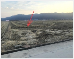  2024Ÿ646  Ǽ ݼ 븮 753-1      ()