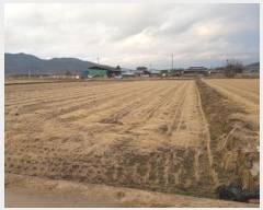  2024Ÿ646  Ǽ ݼ 븮 753-1      ()