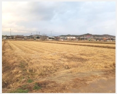  2024Ÿ646  Ǽ ݼ 븮 753-1      ()