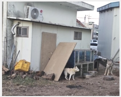  2024Ÿ��660  �ٸ����ð��