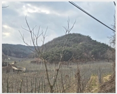  2024Ÿ��707  �Ӿ߰��