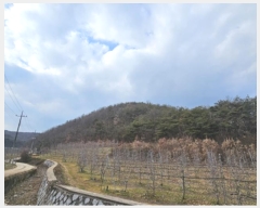  2024Ÿ��707  �Ӿ߰��