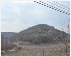  2024Ÿ��707  �Ӿ߰��