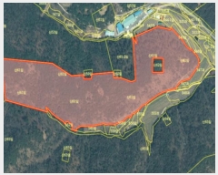  2024Ÿ��707  �Ӿ߰��