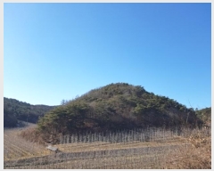  2024Ÿ��707  �Ӿ߰��