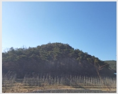  2024Ÿ��707  �Ӿ߰��