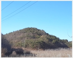  2024Ÿ��707  �Ӿ߰��