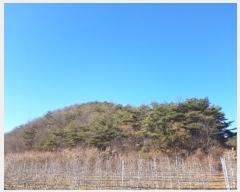  2024Ÿ��707  �Ӿ߰��