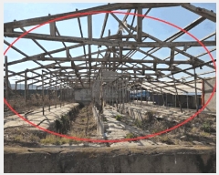  2024Ÿ10056 뱸    413-1      (󰡽ü)