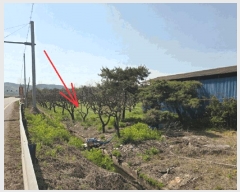  2024Ÿ10056 뱸    413-1      (󰡽ü)