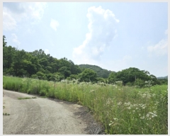  2024Ÿ10742 뱸  캸 κϸ 513      ()