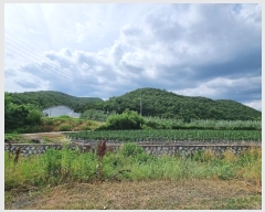  2024Ÿ��10940 ��� �Ǽ��� ����� ���̸� ��13-1      ����(�Ӿ�)���