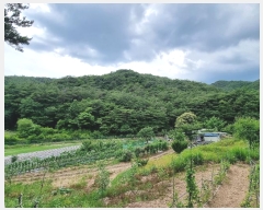  2024Ÿ��10940 ��� �Ǽ��� ����� ���̸� ��13-1      ����(�Ӿ�)���