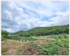  2024Ÿ��10940 ��� �Ǽ��� ����� ���̸� ��13-1      ����(�Ӿ�)���