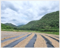  2024Ÿ��10940 ��� �Ǽ��� ����� ���̸� ��13-1      ����(�Ӿ�)���