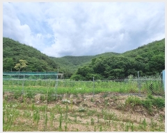  2024Ÿ��10940 ��� �Ǽ��� ����� ���̸� ��13-1      ����(�Ӿ�)���