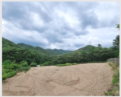  2024Ÿ��10940 ��� �Ǽ��� ����� ���̸� ��13-1      ����(�Ӿ�)���