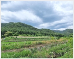  2024Ÿ��10940 ��� �Ǽ��� ����� ���̸� ��13-1      ����(�Ӿ�)���