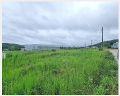  2024Ÿ11134  û۱  ż 465      ()