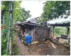  2024Ÿ11134  û۱  ż 465      ()