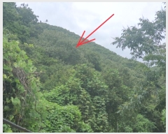  2024Ÿ��11325 ��� �Ǽ��� ����� ���︮ ��4-2      ����(�Ӿ�)���