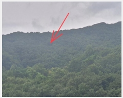  2024Ÿ��11325 ��� �Ǽ��� ����� ���︮ ��4-2      ����(�Ӿ�)���