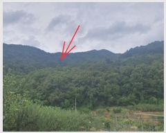  2024Ÿ��11325 ��� �Ǽ��� ����� ���︮ ��4-2      ����(�Ӿ�)���