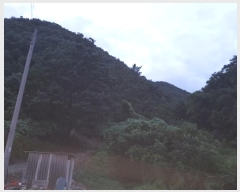  2024Ÿ��11325 ��� �Ǽ��� ����� ���︮ ��4-2      ����(�Ӿ�)���