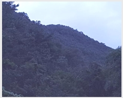  2024Ÿ��11325 ��� �Ǽ��� ����� ���︮ ��4-2      ����(�Ӿ�)���