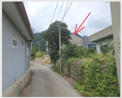  2024Ÿ��11509 �뱸 ������ �ΰ�� ������ 685-1      ���ð��