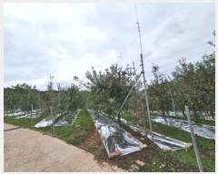  2024Ÿ11516  û۱  帮 395-2      ()