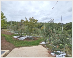  2024Ÿ11516  û۱  帮 395-2      ()